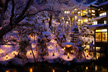 向瀧の冬景色　雪見ろうそく