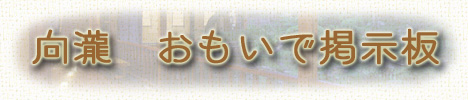 �f����BackNumber