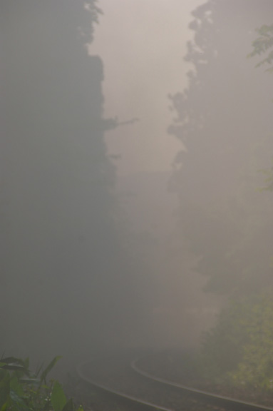 �R�����]�C