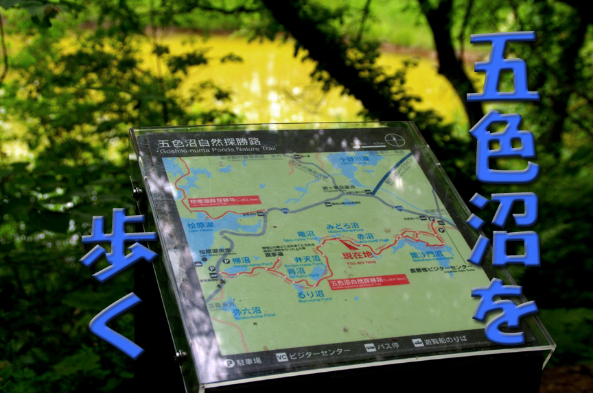 みどろ沼
