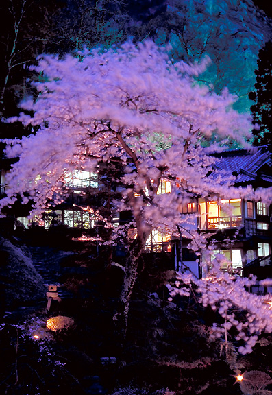 ���z�̖��