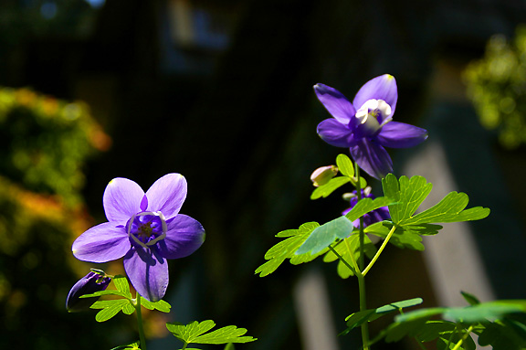 �I�_�}�L�t����