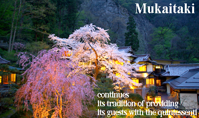 japanese inn mukaitaki