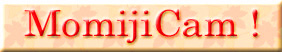 ���C�u�J����