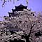 1010tsurugajyo_i.jpg