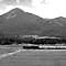 1079C57BW_i.jpg