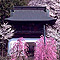 1462zenryuji_i.jpg
