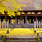 20061122nagatoko2417_i.jpg