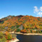 20081112dam1540_i.jpg