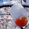 20081207keizan2302_i.jpg