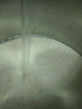 ���͂���Ȋ���