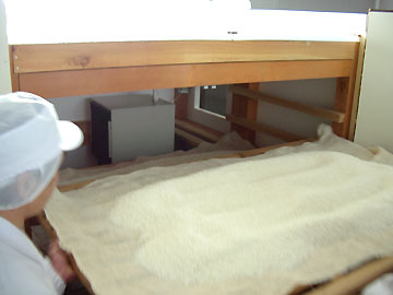 6���̉��̒i��