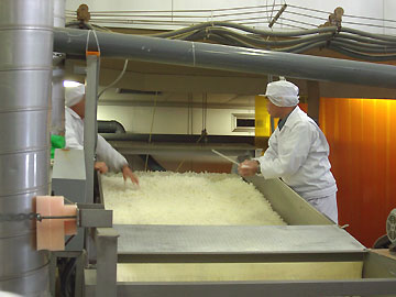 ����������x���厖�I