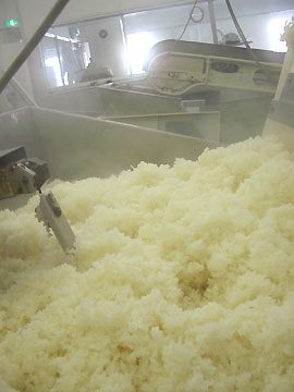 ���΂������C