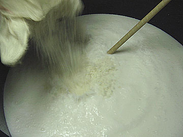 �܂��܂��������I