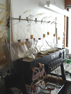 ����͂Ȃ�̌����H