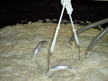 2004�N03��17��