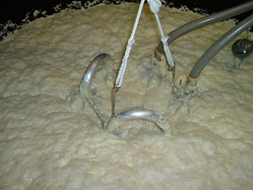 2004�N03��19��