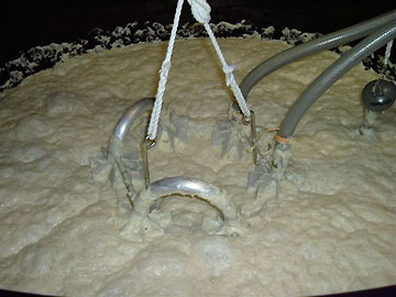 2004�N03��20��