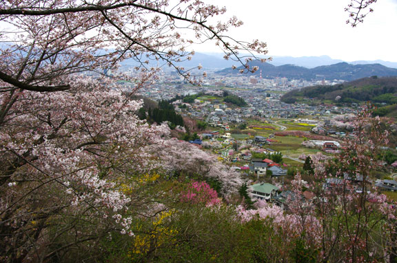 福島市　花見山公園　会津の写真館