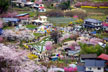 福島市　花見山公園　会津の写真館