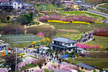 福島市　花見山公園　会津の写真館