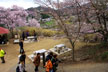 福島市　花見山公園　会津の写真館