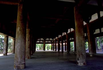 �V�{�F��_�ЁE����