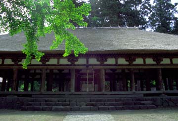 �V�{�F��_�ЁE����