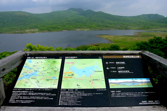 雄国沼　レンゲツツジ　会津の写真館