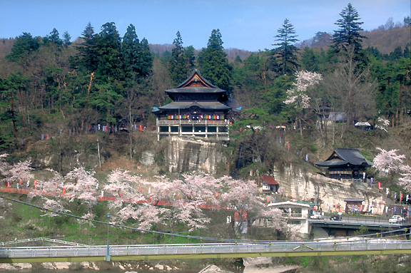 福満虚空蔵尊圓蔵寺の桜