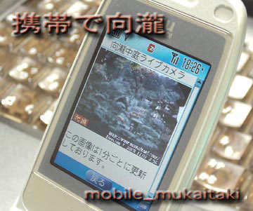 携帯用