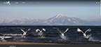 Treasureland TOHOKU JAPAN　冬ー福島