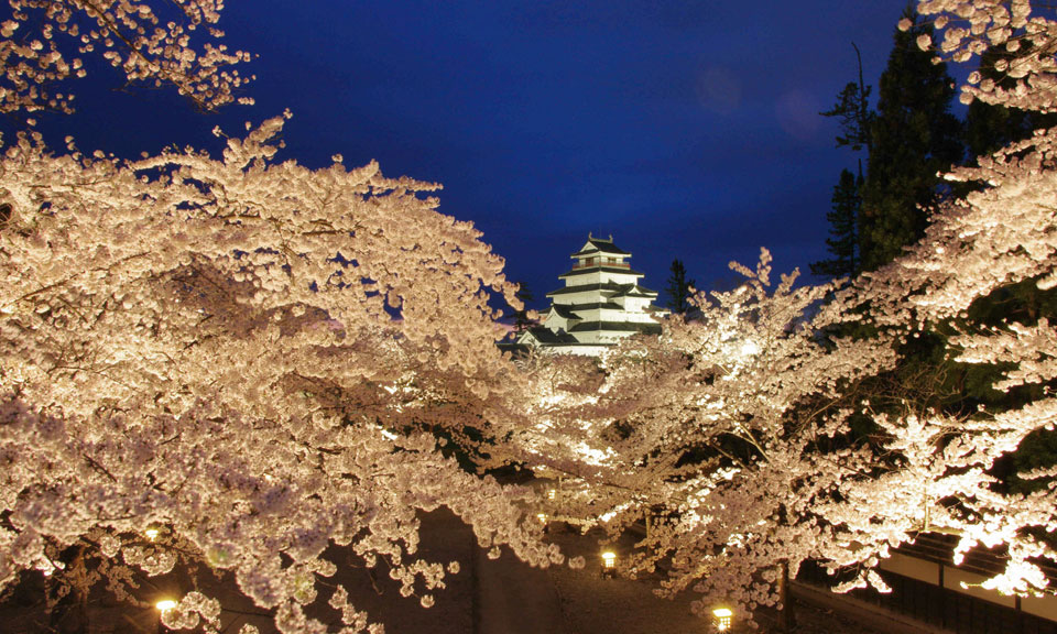 会津若松 鶴ヶ城の夜桜