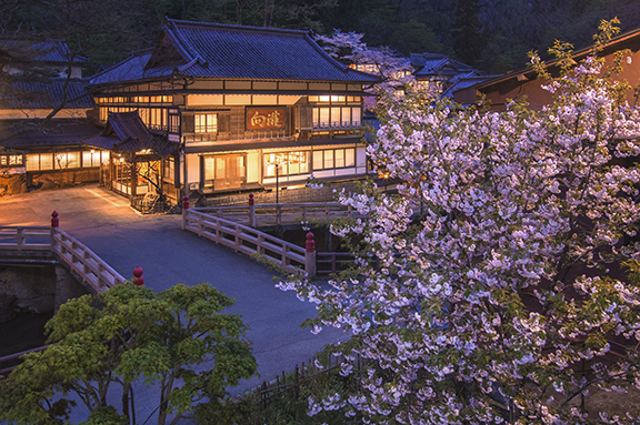 向瀧公園の八重桜