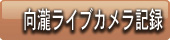 東山温泉　向瀧　ライブカメラ記録