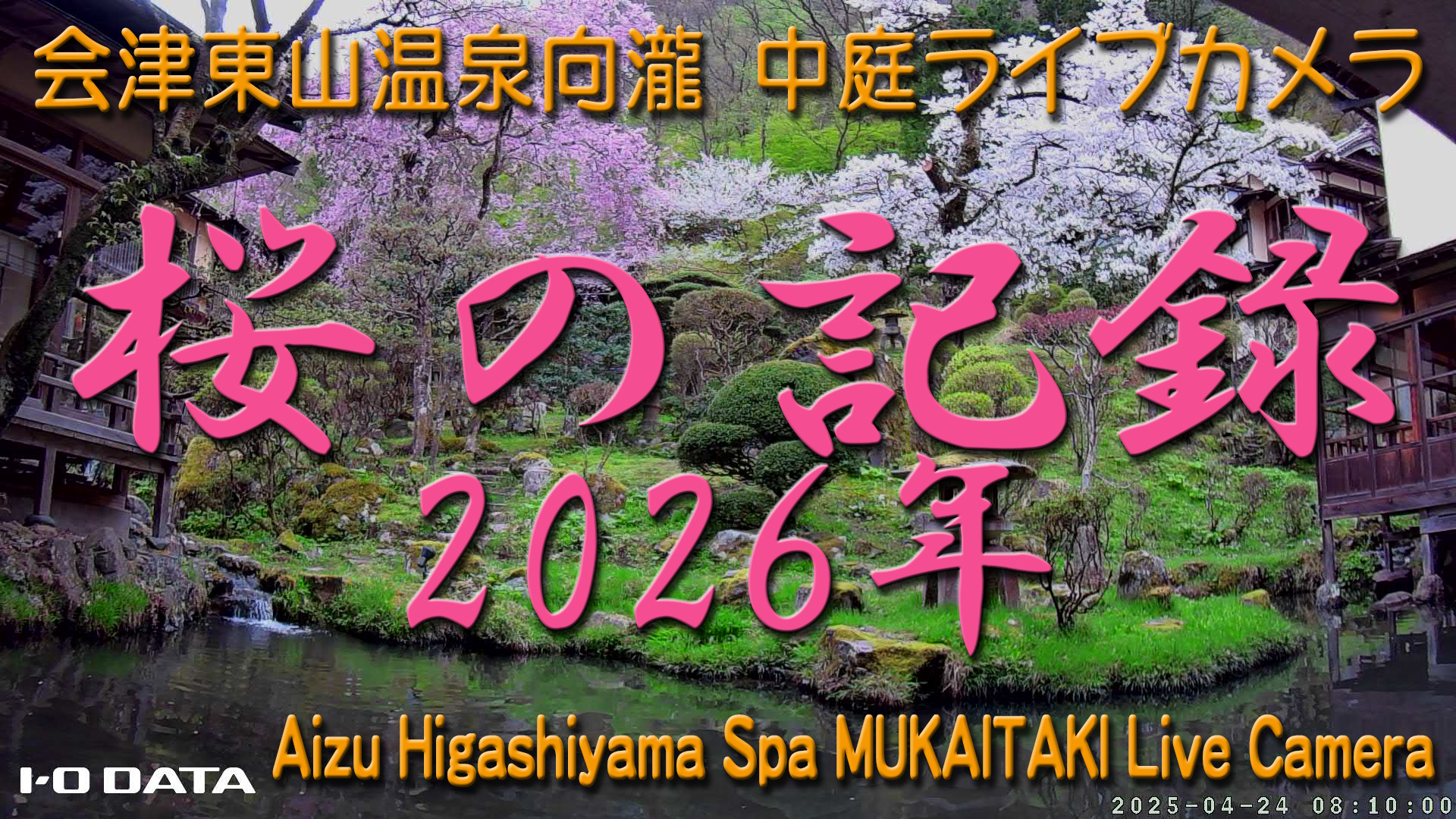 桜のライブカメラ