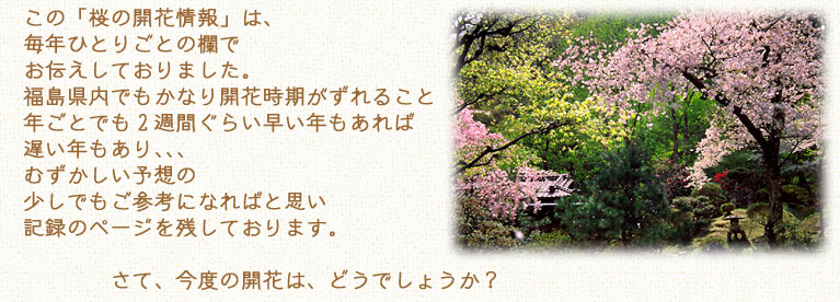 この桜の開花情報は、福島県内でも開花時期が変わり、年によっても違います。むずかしい予想の参考になれば